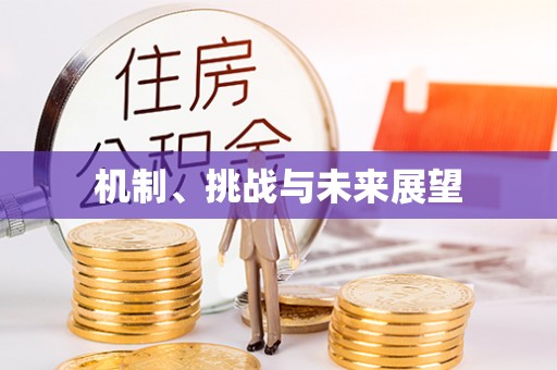 龙圩机制、挑战与未来展望
