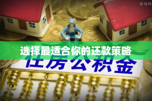 龙圩选择最适合你的还款策略