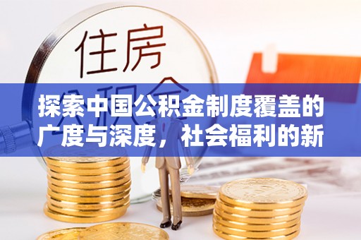 龙圩探索中国公积金制度覆盖的广度与深度，社会福利的新篇章