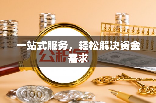 龙圩一站式服务，轻松解决资金需求