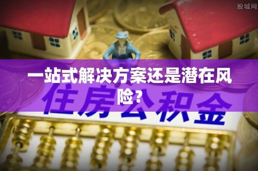 龙圩一站式解决方案还是潜在风险？
