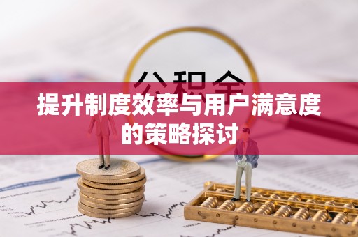 龙圩提升制度效率与用户满意度的策略探讨